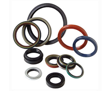 Oil Seals