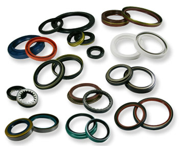 Oil Seals