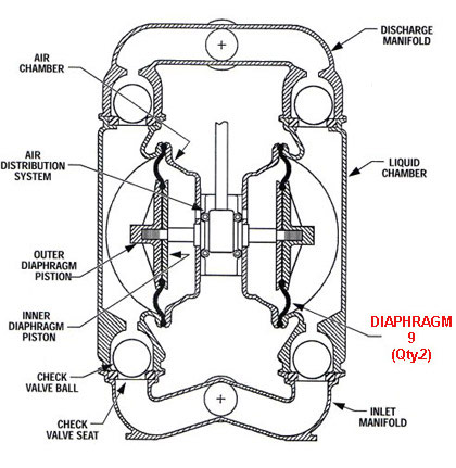 Pump Diaphragms